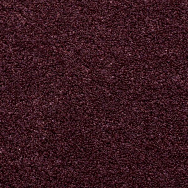 Mulberry Purple Luxury Saxony Carpet