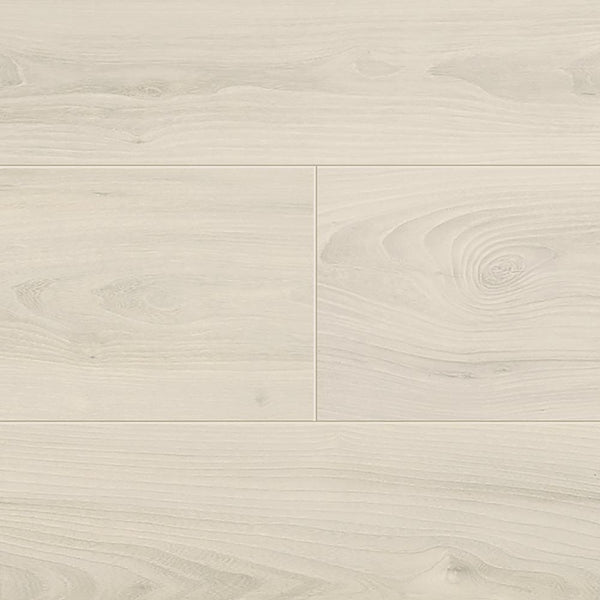 Magnolia Elm 039