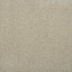 Macadamia Sensation Heathers 60oz Carpet