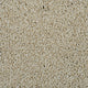 Macadamia Sensation Heathers 60oz Carpet