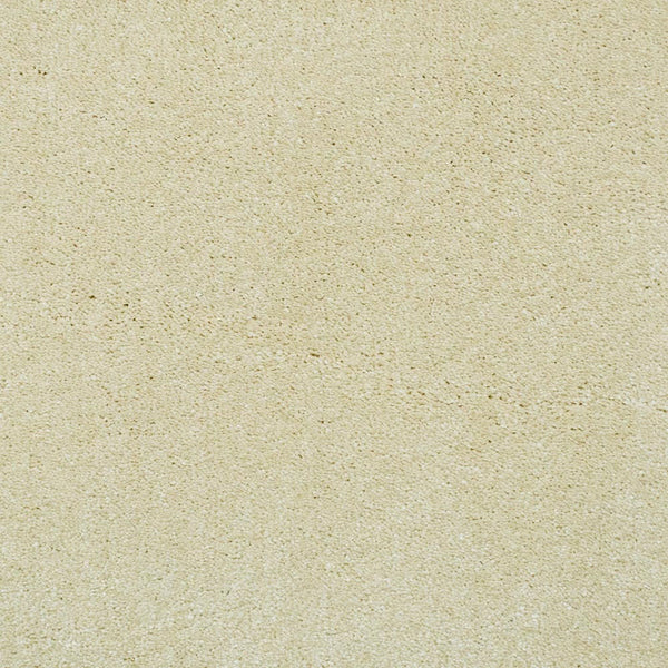 Silkworm 30 Magnificus Invictus Carpet