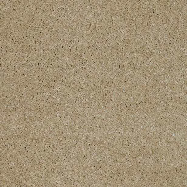 Buttermilk 32 Magnificus Invictus Supreme Carpet