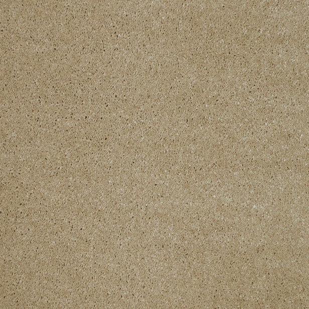 Buttermilk 32 Magnificus Invictus Supreme Carpet