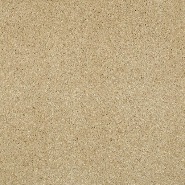 Sandcastle 35 Magnificus Invictus Carpet