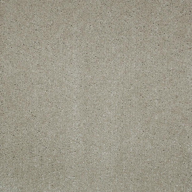 Macaroon 37 Magnificus Invictus Supreme Carpet