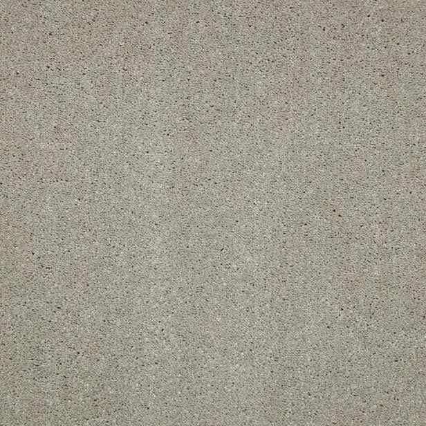 Macaroon 37 Magnificus Invictus Supreme Carpet