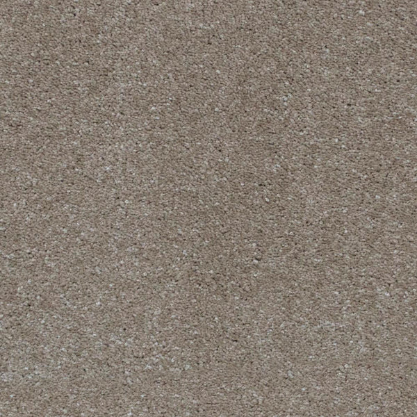 Biscotti 39 Magnificus Invictus Carpet