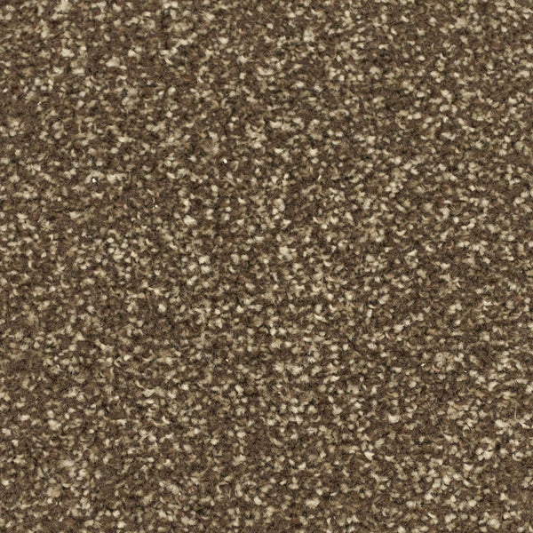 Mahogany Apollo Plus Carpet | Buy Apollo Plus Carpets Online ...