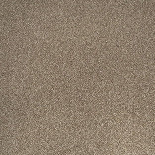 Manhattan Taupe Apollo Plus Carpet
