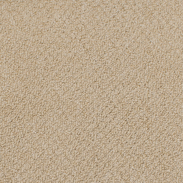 Cream Manhattan Loop Carpet