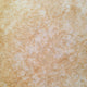 Clearance Pronto Vinyl Flooring