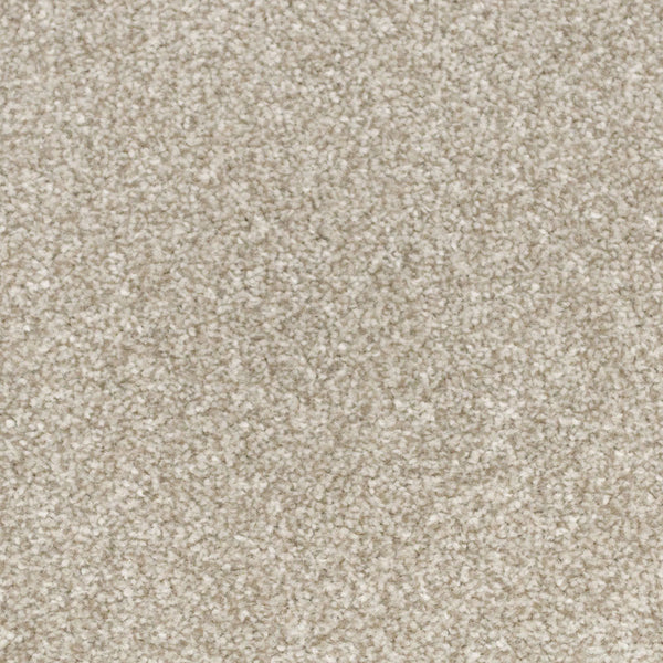 Maple Primo Ultra Carpet Clearance