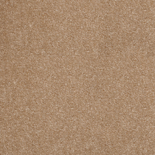 Mid Beige 73 Revolution Carpet
