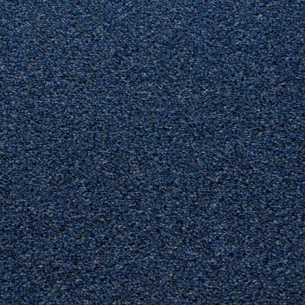 Midnight Blue 897 Dublin Heathers Carpet