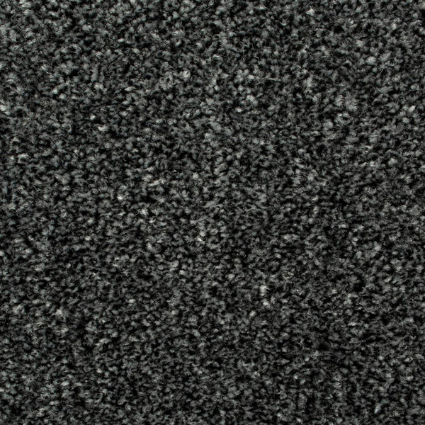 Midnight Mirage Saxony Carpet