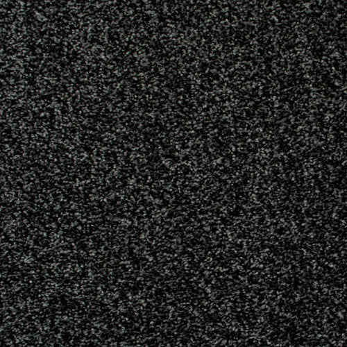 Midnight Oregon Saxony Carpet