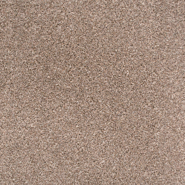 Mink 314 Easy Living Carpet