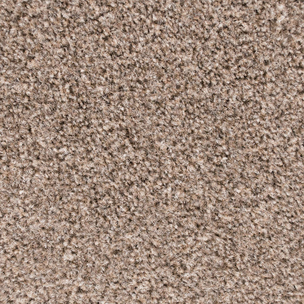 Mink 314 Easy Living Carpet