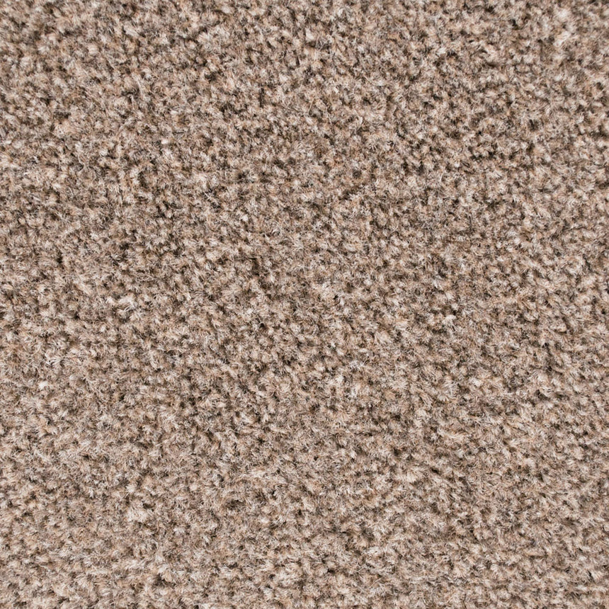 Mink 314 Easy Living Carpet Buy Easy Living Carpets Online