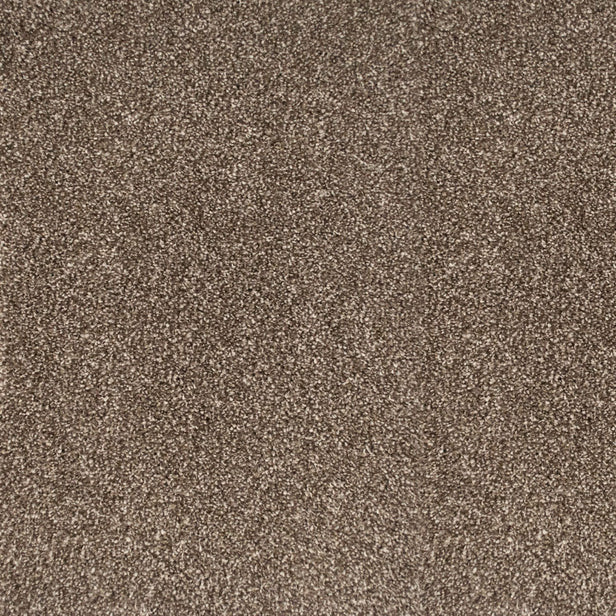 Mizona 45 Pegasus 70oz Heathers Invictus Carpet