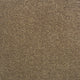 Monsoon Carpet