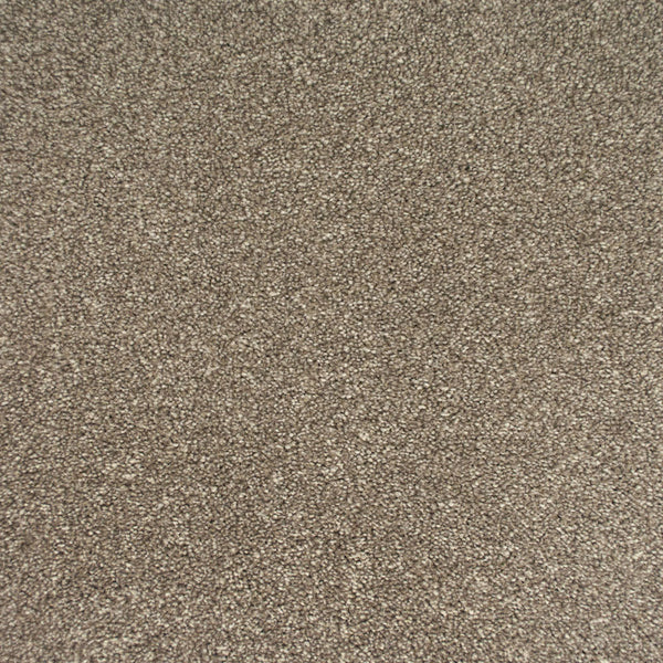 Ivory 307