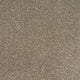 Monsoon Carpet