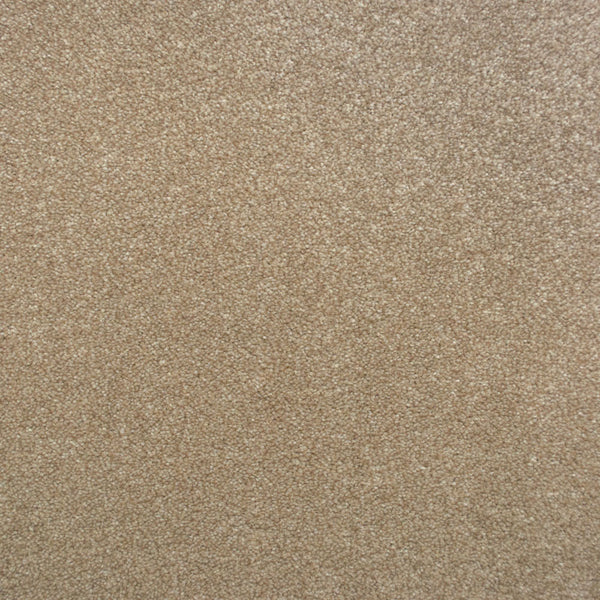 Almond 312
