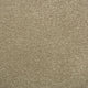 Monsoon Carpet