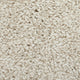 Moon Magic Noble Saxony Collection Carpet