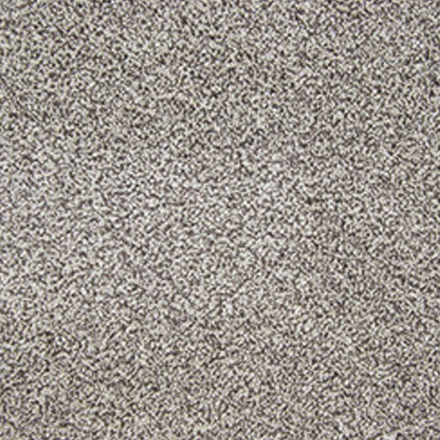 Moon Shadow Stainfree Triple Crown Carpet