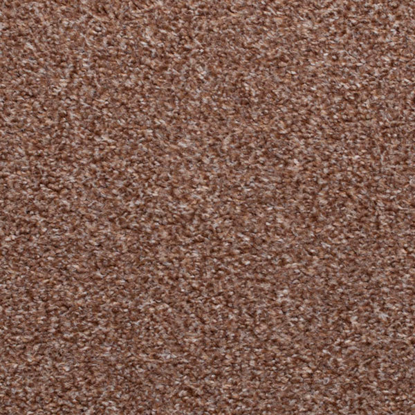 Chocolate Suede 810 Moorland Twist Action Backed Carpet
