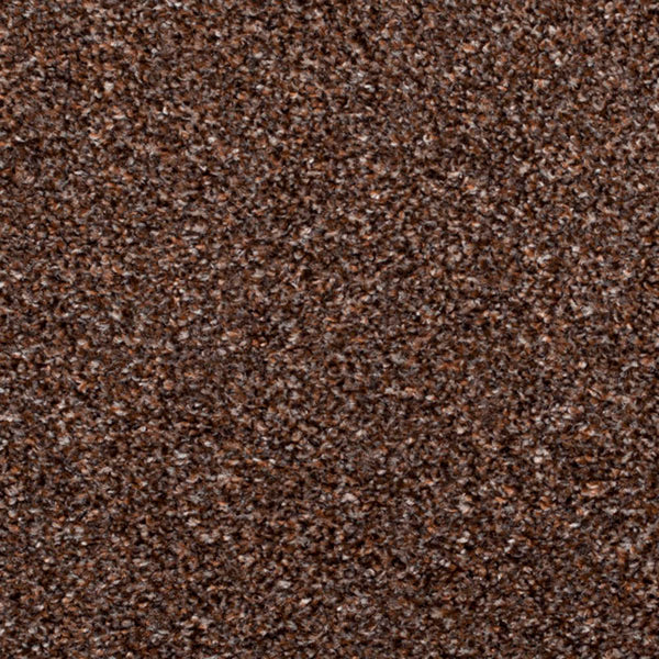Coffee Brown 890 Moorland Twist Action Backed Carpet