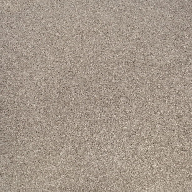 Morning Coffee Primo Ultra Carpet Clearance by Cormar