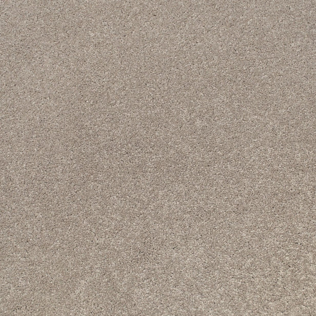 Morning Coffee Primo Ultra Carpet Clearance by Cormar