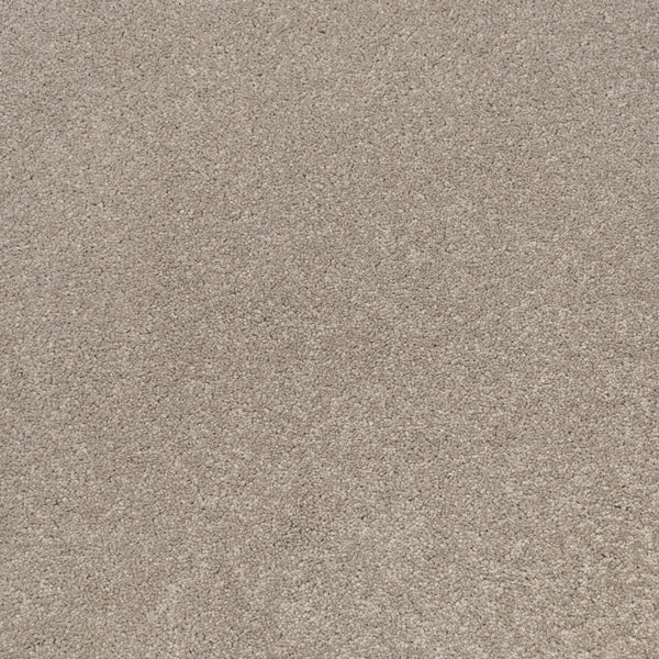 Morning Coffee Primo Ultra Carpet 4.05m x 5m Remnant