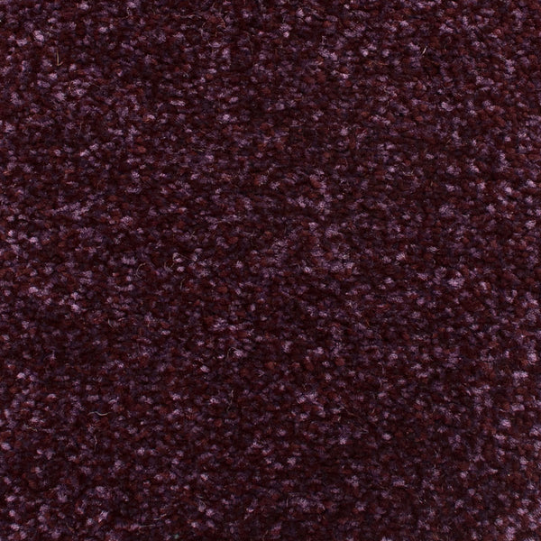 Mulberry Stainfree Emperor Carpet