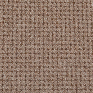Dotted Berber Loop Carpet