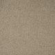 Natural Beige Illinois Loop Carpet