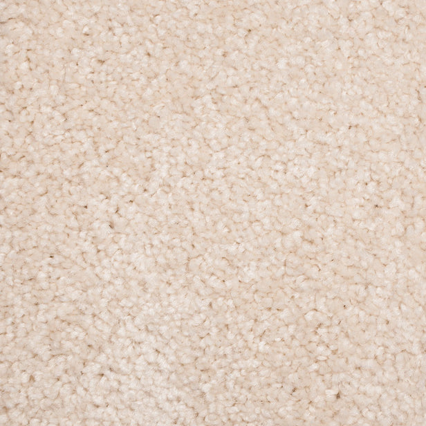 New Direction Supreme Carpet