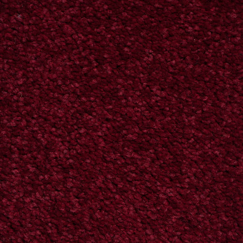 Scooter Red 11 New Direction Supreme Carpet
