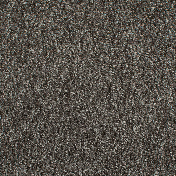 Anthracite New York Carpet