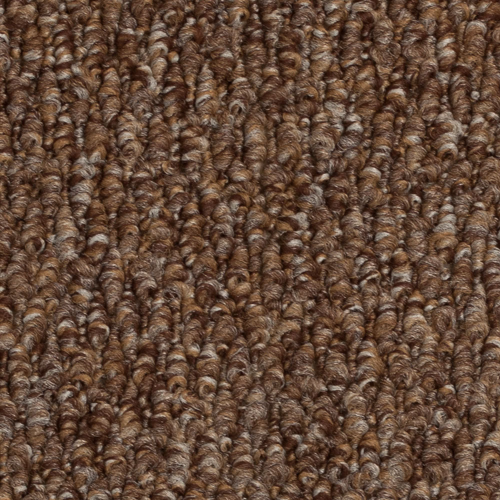 Tan New York Carpet Buy Tan New York Carpet Online OnlineCarpets.co