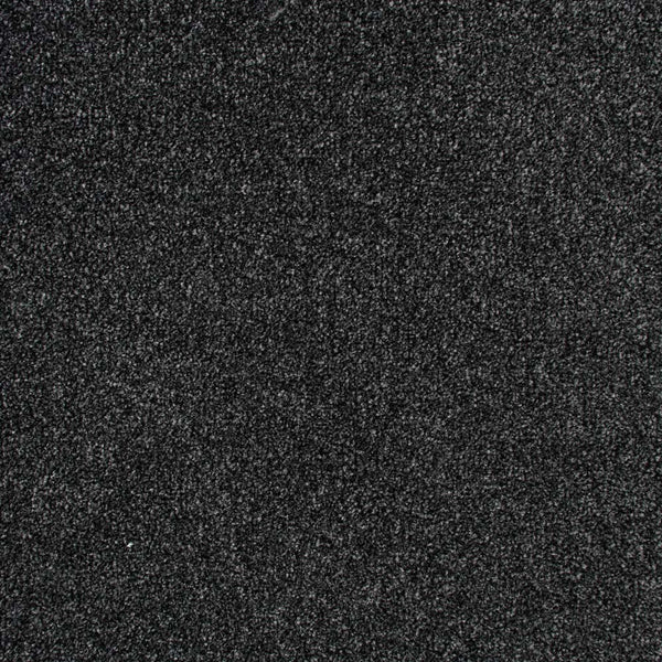 Night Sky 99 Stainaway Harvest Heathers Deluxe Carpet