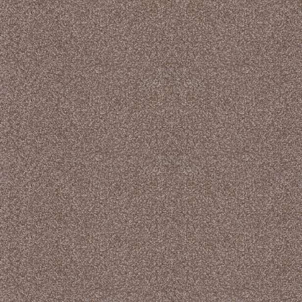 Cappuccino 800 More Noble Saxony Feltback Carpet