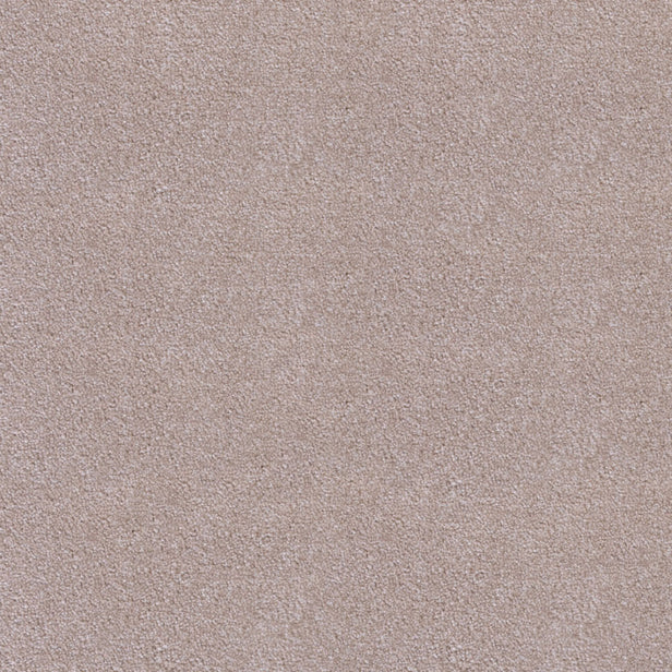 Oyster Noble Saxony Carpet