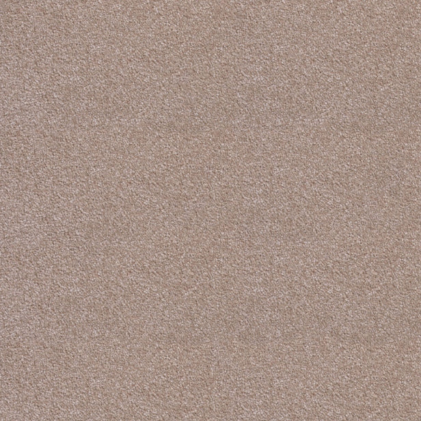 Whipped Cream Noble Saxony Carpet