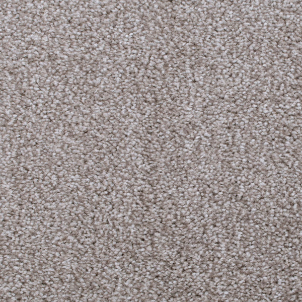 Abbeystone 810 Noble Saxony Collection Carpet