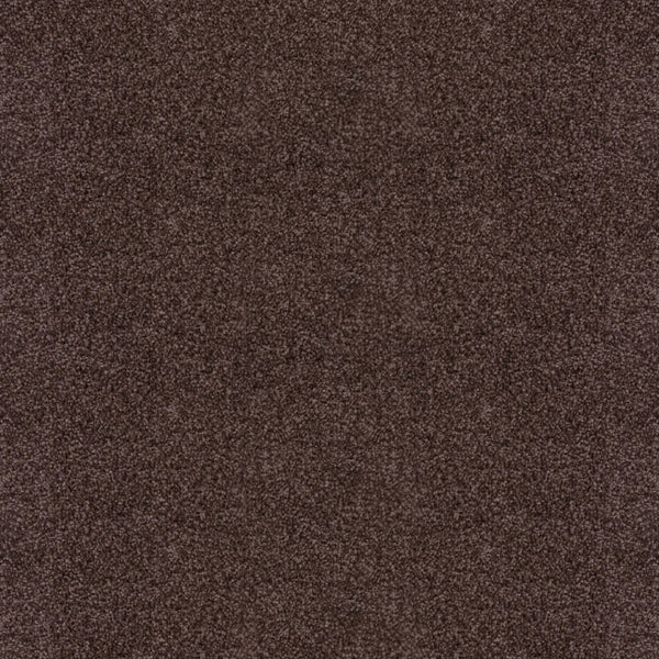 Espresso Thick Saxony Carpet Buy Noble 870 Deep Pile Carpets Online