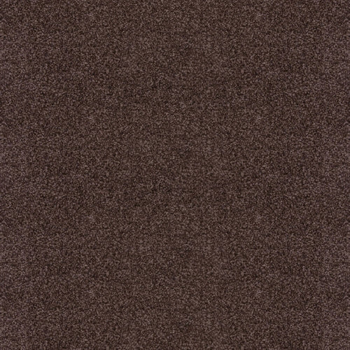 Espresso Noble Saxony Carpet
